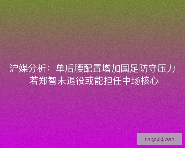 沪媒分析:单后腰配置增加国足防守压力 若郑智未退役或能担任中场核心 沪媒分析:单后腰配置增加国足防守压力 若郑智未退役或能担任中场核心
